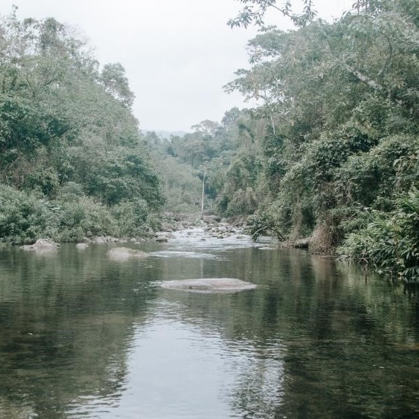 CORREIAS TRANSPORTADORAS SUSTENTABILIDADE
