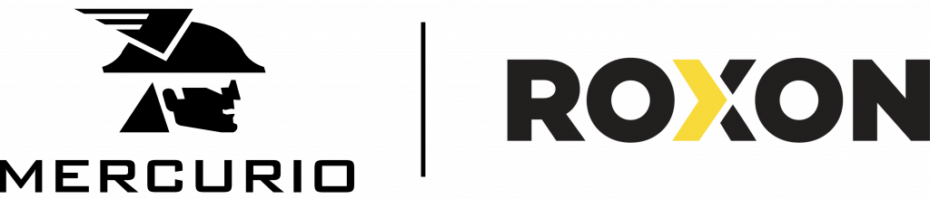 logo roxon