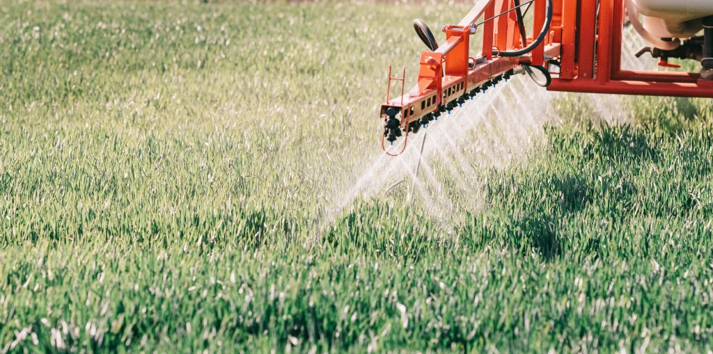 Fertilizantes orgânicos e inorgânicos: Importância, produção e diferenças