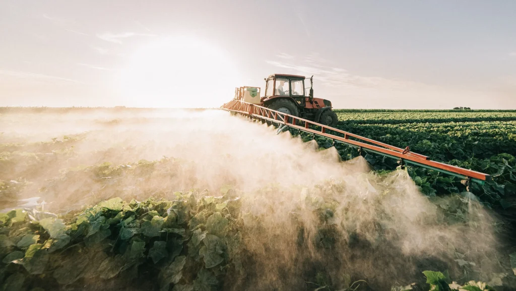 Fertilizantes orgânicos e inorgânicos: Importância, produção e diferenças