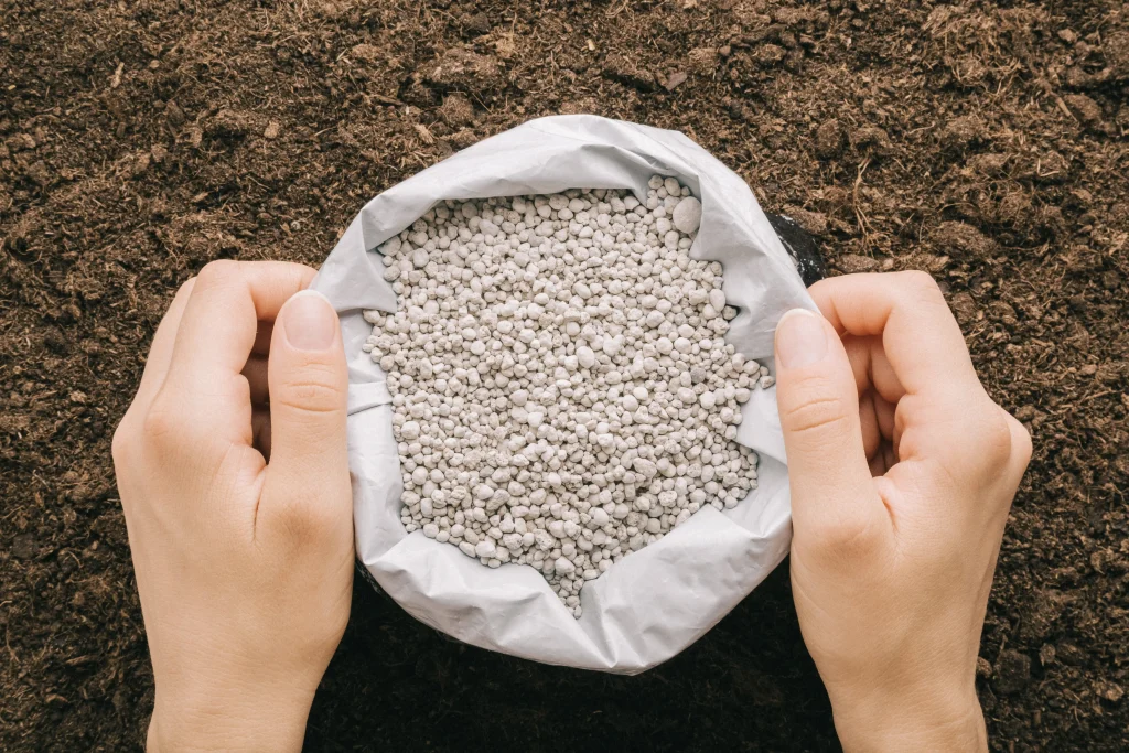 Fertilizantes orgânicos e inorgânicos: Importância, produção e diferenças